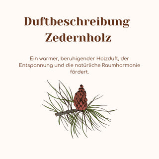 Duftkerze mit Duftnote Zedernholz