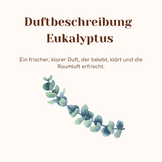 Duftkerze mit Duftnote Eukalyptus im Tiegel